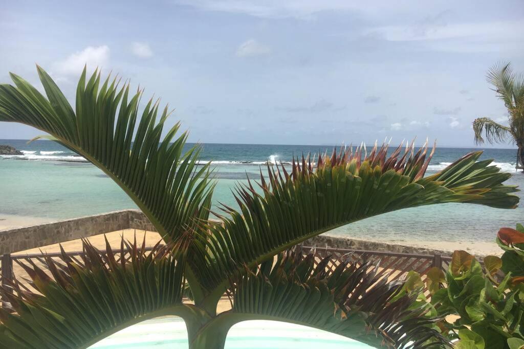 Superbe Studio Superieur Neuf Avec Balcon Saint-Francois (Grande-Terre) Exterior photo